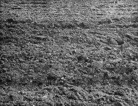 76 x 98 cm Strichätzung, Aquatinta Auflage 20