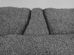 15 x 20 cm Strichätzung, Aquatinta Auflage 30