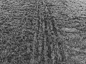 15 x 20 cm Strichätzung, Aquatinta Auflage 30