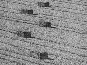 15 x 20 cm Strichätzung, Aquatinta Auflage 30