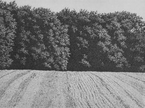 15 x 20 cm Strichätzung, Aquatinta Auflage 30