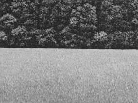 15 x 20 cm Strichätzung, Aquatinta Auflage 30