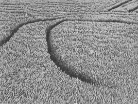 15 x 20 cm Strichätzung, Aquatinta Auflage 30